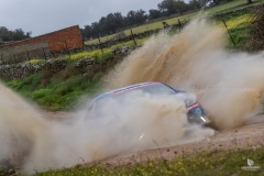 Rallye Pozoblanco-92