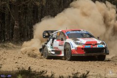 WRC-Portugal-90