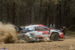 WRC-Portugal-95