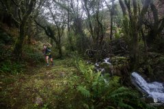 Trail-37